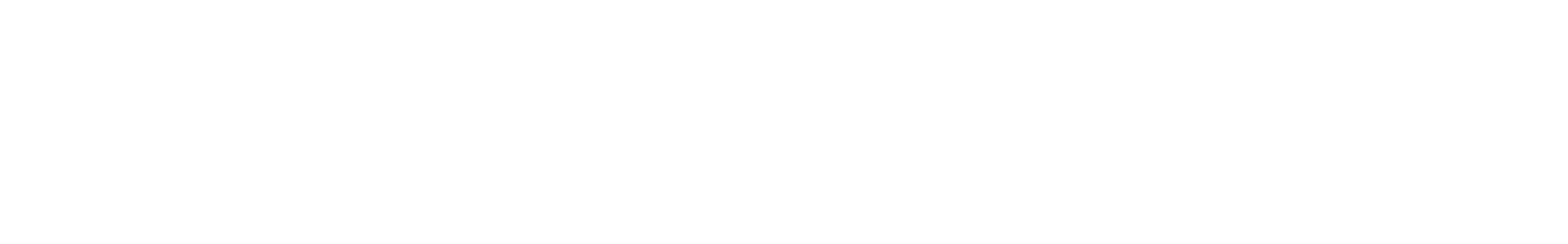 Sochasty